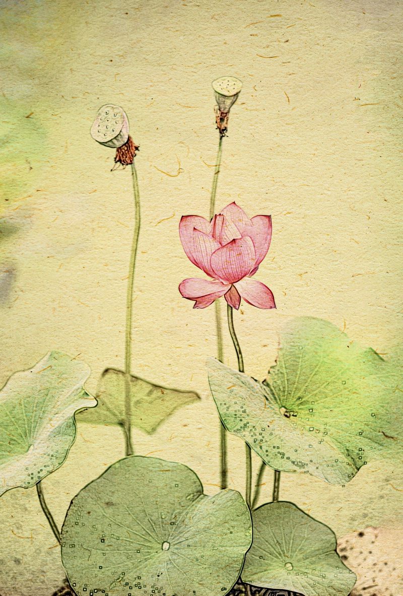 《雅趣》陆伟敏.jpg 《雅趣》陆伟敏.jpg