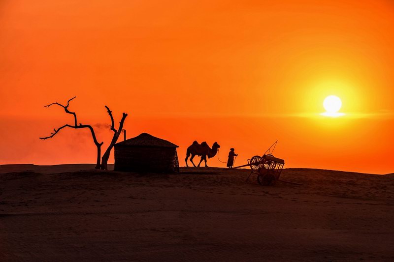 《希望》摄影季光.jpg 《希望》摄影季光.jpg